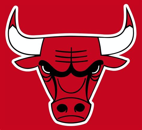 Bulls de chicago